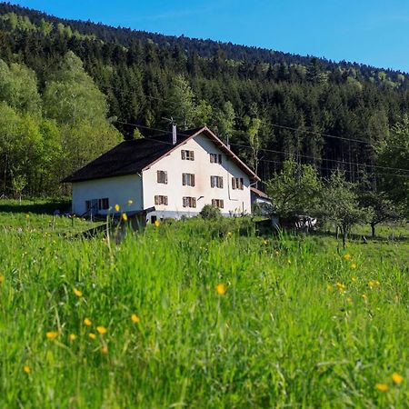 Le Guardabarranco Saulxures-sur-Moselotte Exterior foto